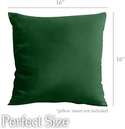 lalaLOOM Velvet Throw Pillow Covers, Set of 2 Decorative Square Pillows Home Decor, Soft Accent Cases, Silky Machine Washable Pillowcases for Sofa, Couch, Bedroom, Living Room, 16x16, Hunter Green