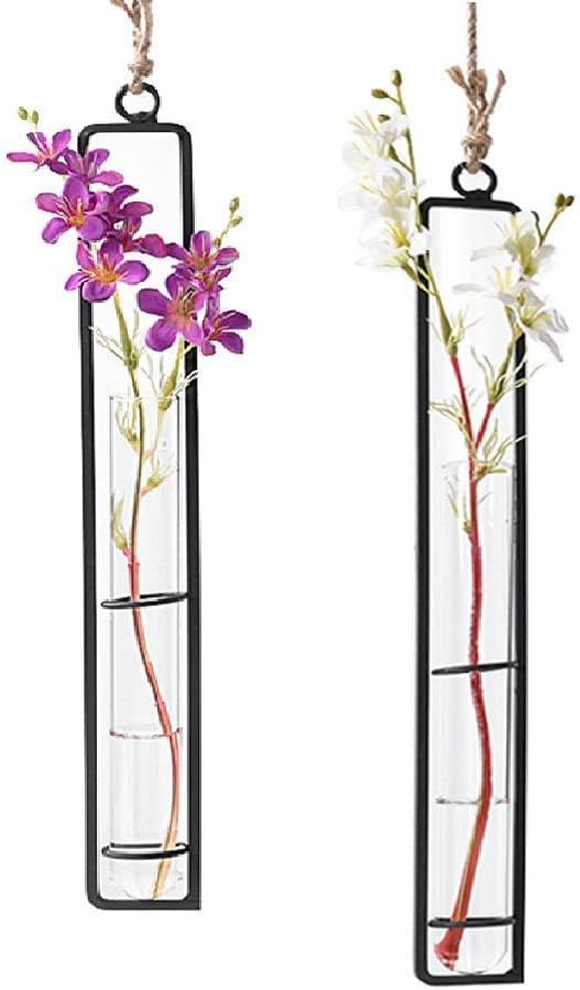 Sziqiqi Hanging Clear Glass Propagation Tube Vase for Cuttings, Hydroponic Plant Propagation Home Balcony Floral Container Wall Decoration Black 2ps (L+L)