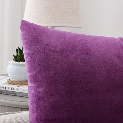 NiNi ALL Decorative Purple Throw Pillow Covers Pack of 2 Velvet 14x14 Inch Throw Pillow Cases for Couch Pillows Cover Bedroom Living Room Outdoor Pillows Cover