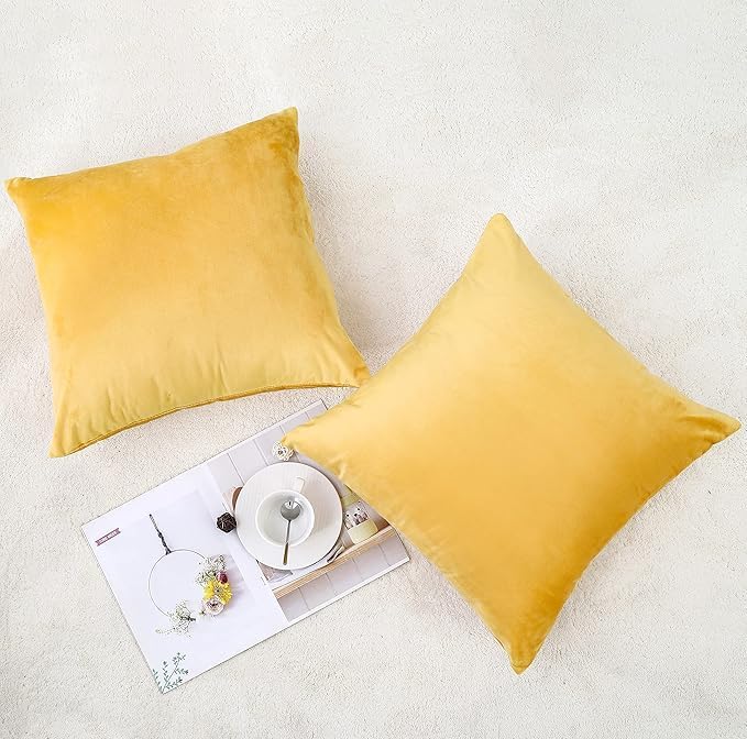 NiNi ALL Decorative Throw Pillow Covers Velvet 16x16 Inch Pack of 2 Yellow Cushion Covers Soft for Couch Sofa Bedroom Living Room Outdoor
