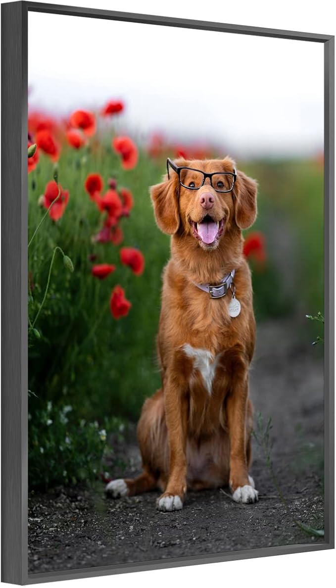 jenesaisquoi Upload Your Photo Image Custom Personalized Photo to Poster Printing Home Decor Wall Art Prints (Black Frame, 12" x 16")