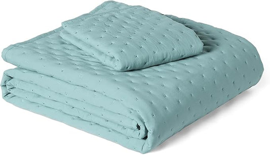 Amazon Basics Brushed Microfiber Quilt Set, Extra Soft with Natural Texture, 2-Piece,Twin/Twin XL, Blue