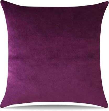 Artscope Luxury Velvet Pillow Covers Super Soft Decorative Square Throw Pillow Covers Case Cushion Covers for Sofa Couch Bedroom Car Decor 20x20 Inch Eggplant Purple