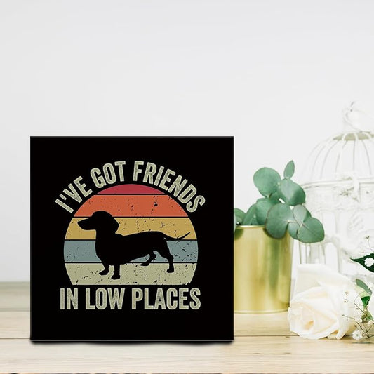 I've Got Friends in Low Places Funny Dachshund Signs - Dachshund Desk Decor, Dachshund Signs for Home Decor, Wiener Dog Decor, Dachshund Gifts for Women, 5X5