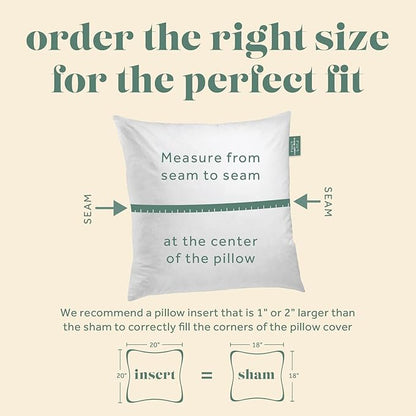 ComfyDown 22X22 Decorative Throw Pillow Insert, Down and Feathers Fill, 100% Cotton Cover 233 Thread Count, Square Pillow Insert - Made in USA (Single)