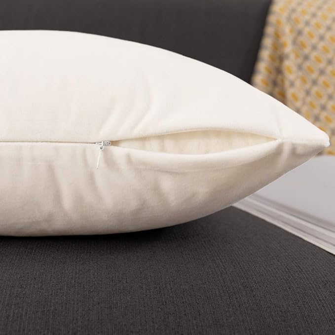 Jeneoo Comfy Soft Thick Velvet Throw Pillow Cases for Sofa Couch, Decorative Solid Square Cushion Covers for Bedroom Car (Off White, 18 x 18 Inches, 2 Pieces