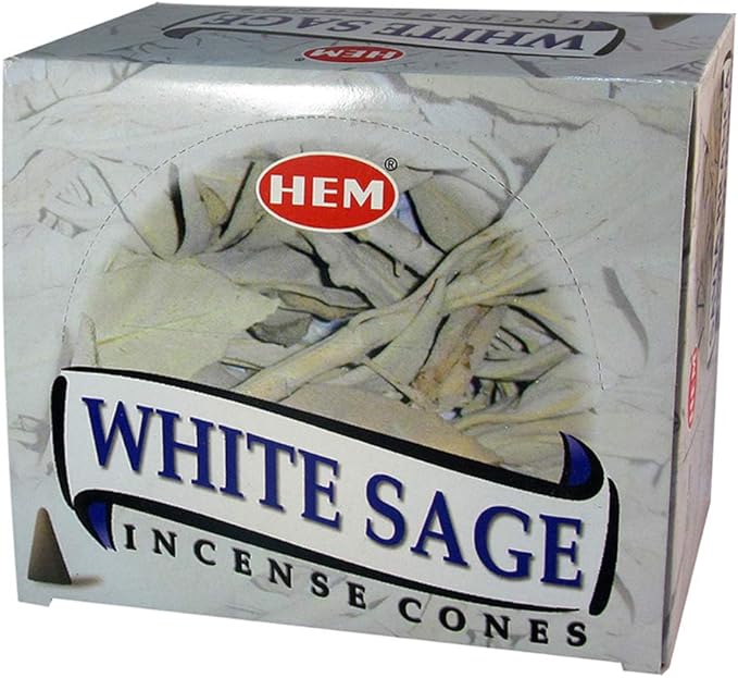 White Sage Incense Cones and Cone Incense Burner Bundle Insence Insense Hem Incense