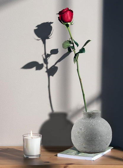 Serene Spaces Living Antique Ashen Ball Cement Vase, Grey Concrete Floral Vase, Home, Office Decor, Table Centerpiece for Vintage Wedding, Anniversary, Birthday, Holiday, 7.5" Diameter & 7" Tall