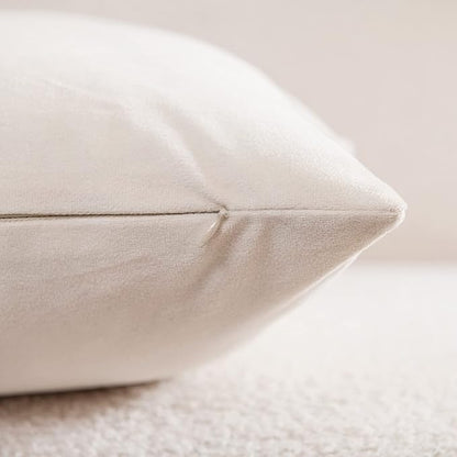 Couch Pillow Covers 12x20 Cream: 2 Pack Cozy Soft Polyester Velvet Rectangular Throw Pillow Cases for Farmhouse Home Decor