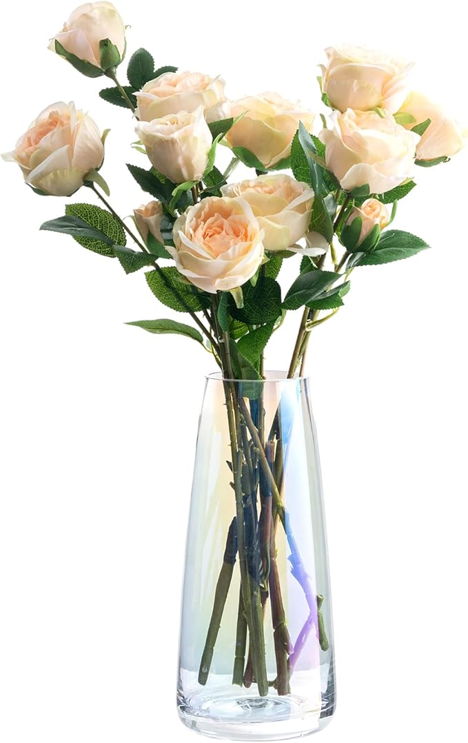 Ekirlin Modern Glass Vase, 8.7 inch Irised Crystal Clear Glass Vase, Thickened Hand Blow Flower Vase Round Bottles for Home Decor, Bookshelf, Room, Office Decor (Crystal Clear)