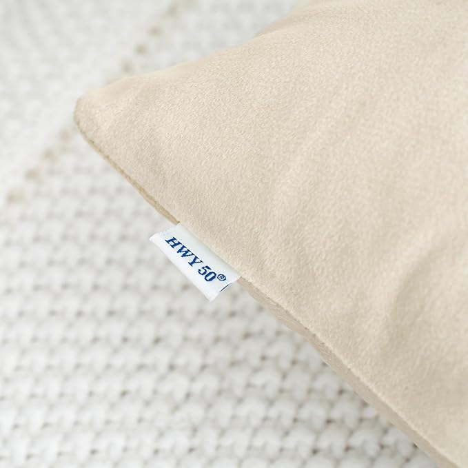 HWY 50 Cream White Velvet Throw Pillow Covers 18x18 Inch, Pack of 2 Soft Cozy Solid Decorative Luxury Cushion Cases for Couch Sofa Bed Living Room Bedroom