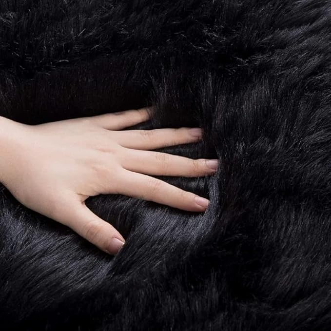 Black Fluffy Faux Sheepskin Washable Fur Area Rugs for Bedroom Living Room Small Shag 2x4 Furry Nursery Rug