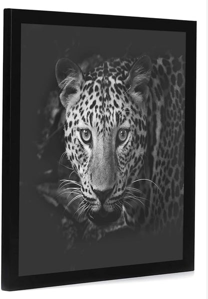 Americanflat 17x17 Picture Frame with Polished Plexiglass - Epic Collection - Square Picture Frame with Engineered Wood - Wide Photo Frames for Wall display - Black