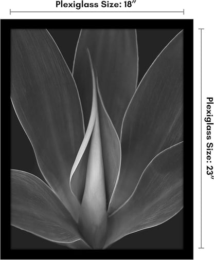 Americanflat 18x23 Poster Frame with Polished Plexiglass - Black Picture Frame - Wide Photo Frames Made of Engineered Wood for Vertical or Horizontal Wall Display - Epic Collection - Black