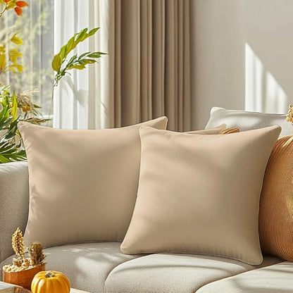 QUORGVES Beige Velvet Pillow Covers 20x20 Inch Set of 2, Soft Solid Decorative Square Throw Pillow Covers, Decor Cushion Covers for Bed Sofa Couch Bedroom Living Room