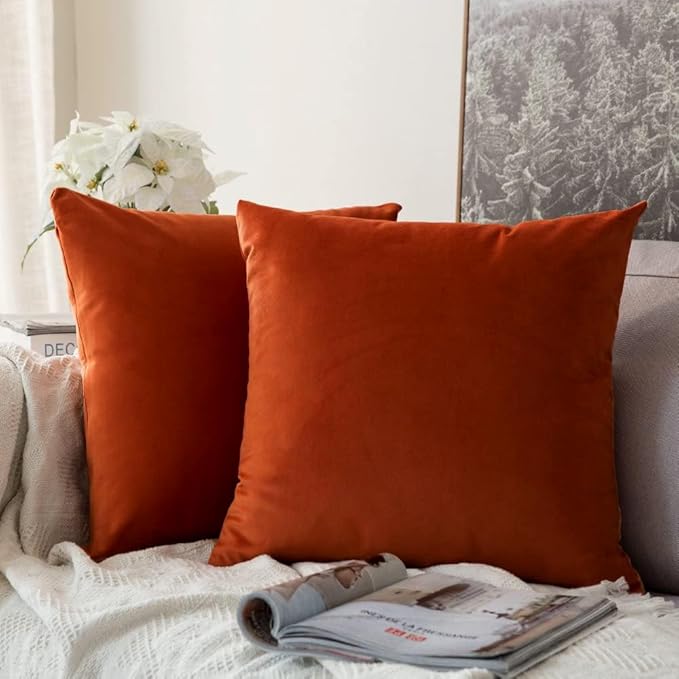 MIULEE Velvet Throw Pillow Covers 22x22 Inch, Pack of 2 - Burnt Orange, Soft Solid Decorative Pillow Covers Cushion Cases Modern Luxury Home Decor for Couch Sofa Bedroom Livingroom