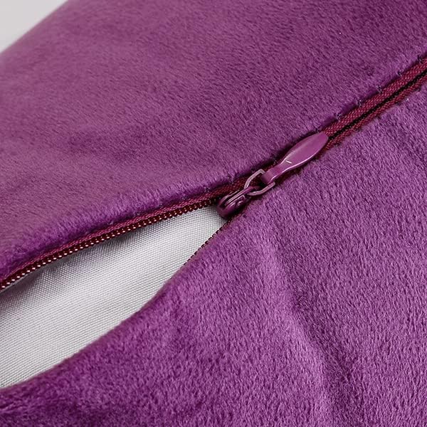 NiNi ALL Decorative Purple Throw Pillow Covers Pack of 2 Velvet 12x12 Inch Throw Pillow Cases for Couch Pillows Cover Bedroom Living Room Outdoor Pillows Cover
