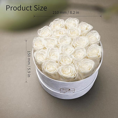 Gifts for Women Preserved Roses Flower Box, Luxury Velvet Box with 20 Roses, Preserved Flowers, Romantic Gift for Her, Wife, Girlfriend, Birthday Anniversary Christmas (White)