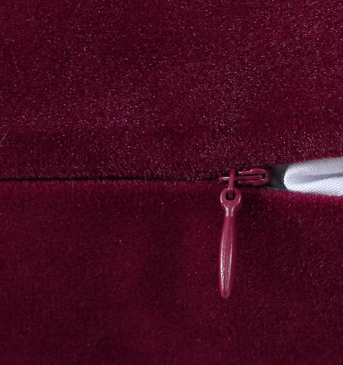mixeoo Comfy Burgundy Red Throw Pillow Covers Decorative Square Solid Thick Velvet Super Soft Cushion Cases Home Decor for Sofa Couch Living Room Chair, Set of 2, 20 x 20 Inch