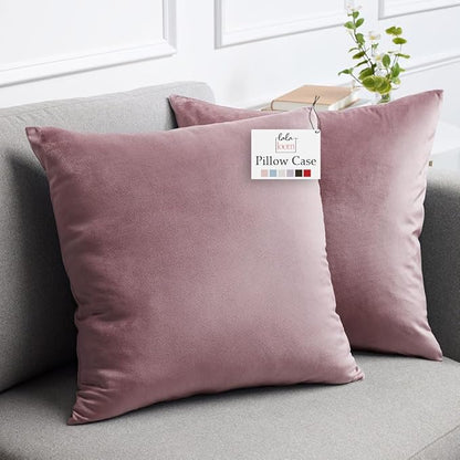 lalaLOOM Velvet Throw Pillow Covers, Set of 2, 20x20 Decorative Square Pillows Home Decor, Soft Accent Cases, Silky Machine Washable Pillowcases for Sofa, Couch, Bedroom, Living Room, Dusty Rose