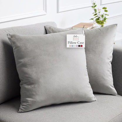 lalaLOOM Velvet Throw Pillow Covers, Set of 2, 24x24 Decorative Square Pillows Home Decor, Soft Accent Cases, Silky Machine Washable Pillowcases for Sofa, Couch, Bedroom, Living Room, Light Gray