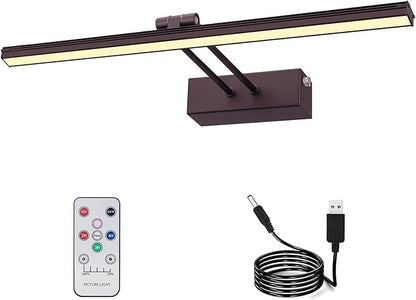 FUNCHDAY Picture Light,Battery Art Lights for Wall,Wireless Remote Painting Light with Timer and Dimmable,20”Metal Display Lighting for Artwork,Portrait,Gallery-BK