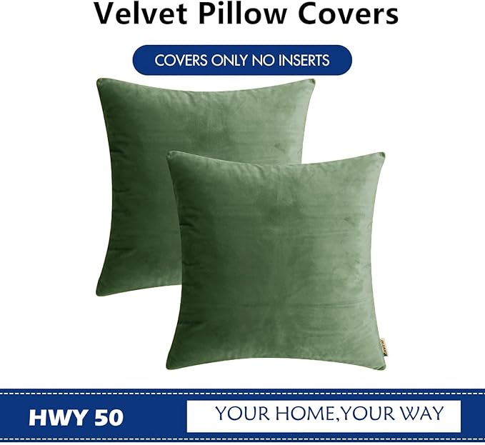 HWY 50 Moss Green Velvet Throw Pillow Covers 20x20 Inch, Pack of 2 Soft Cozy Solid Decorative Luxury Cushion Cases for Couch Sofa Bed Living Room Bedroom