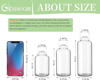 Glasseam Clear Small Flower Vases - Bulk Set of 12, Handmade Modern Decorative Bud Vases for Flowers, Wedding Centerpiece, Dining Table Decoration
