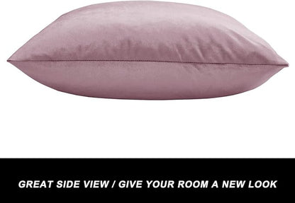 GIGIZAZA Decor Throw Couch Pillow Covers,Set o 2 Sweet Lilac Sofa Cushion Pillow Covers,Velvet Pillow Cases 26x26inch