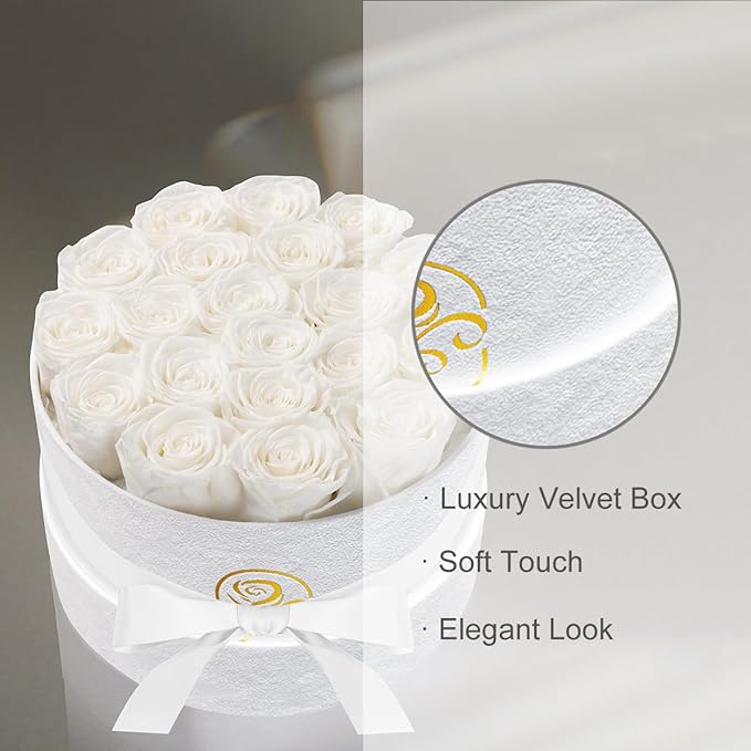 Gifts for Women Preserved Roses Flower Box, Luxury Velvet Box with 20 Roses, Preserved Flowers, Romantic Gift for Her, Wife, Girlfriend, Birthday Anniversary Christmas (White)
