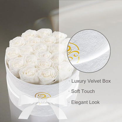 Gifts for Women Preserved Roses Flower Box, Luxury Velvet Box with 20 Roses, Preserved Flowers, Romantic Gift for Her, Wife, Girlfriend, Birthday Anniversary Christmas (White)