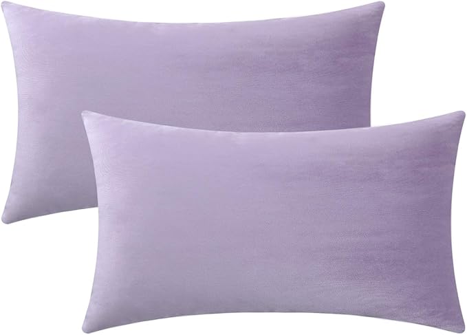 Jeneoo Set of 2 Comfy Soft Thick Velvet Lumbar Throw Pillow Cases for Sofa Couch, Decorative Solid Rectangle Cushion Covers for Bedroom Car (Lavender, 12 x 20 Inches)