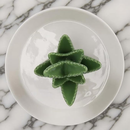 Aloe Ceramic Jewelry Tray, Ring Dish & Trinket Holder - Boho Room & Bathroom Decor for Women, Cute Desk Organizer - Gift for Her, Mom, Sister, Best Friend, Christmas, Birthday