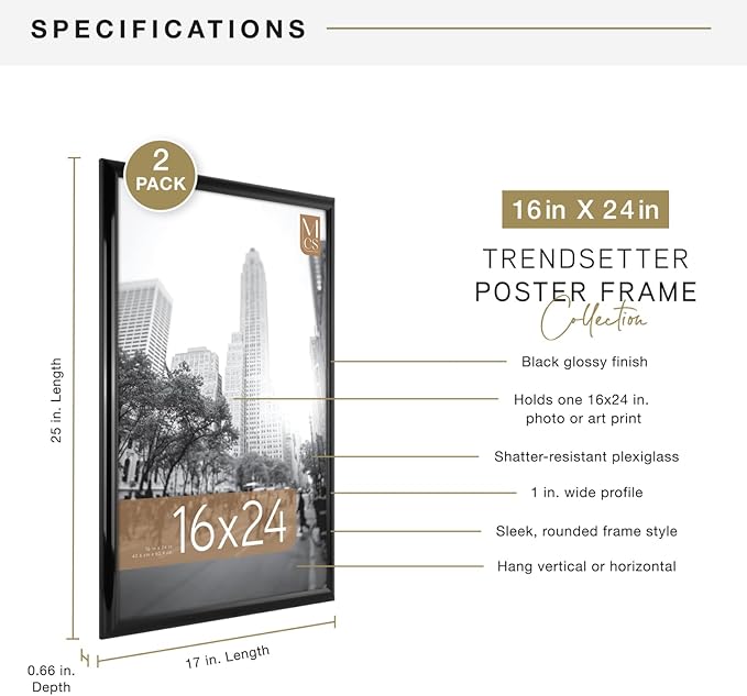 MCS Trendsetter 16x24 Poster Frame Black High-Gloss, Vertical & Horizontal Wall Hanging Large Picture Frame for Photos, Posters & Art Prints (2-Pack)