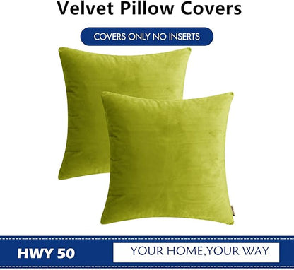 HWY 50 Leaf Green Velvet Throw Pillow Covers 16x16 Inch, Pack of 2 Soft Cozy Solid Decorative Luxury Cushion Cases for Couch Sofa Bed Living Room Bedroom