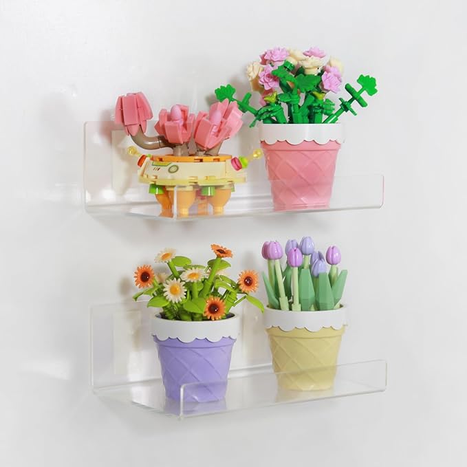 TONICE 2 Pack Acrylic Shelves for Wall 10in Floating Shelf Wall Mounted Set for Room, Bedroom, Bathroom, Kitchen, Living Room, Office Book Shelf Storage Decor