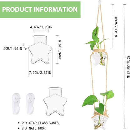 XXXFLOWER Wall Hanging Propagation Station，2 Tiers Star Shaped Glass Flower Vase for Hydroponic Planter Terrarium for Plant Cutting Home Office Living Room Garden Decor