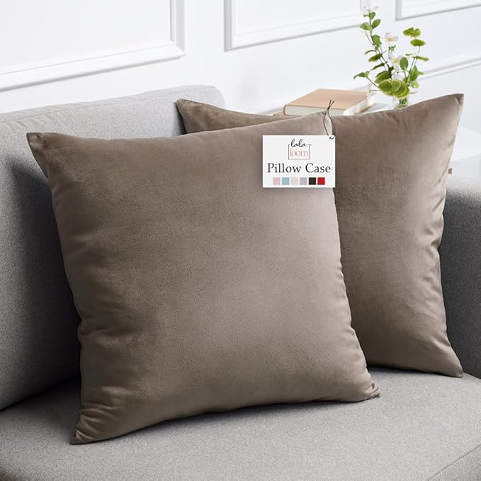 lalaLOOM Velvet Throw Pillow Covers, Set of 2 Decorative Square Pillows Home Decor, Soft Accent Cases, Silky Machine Washable Pillowcases for Sofa, Couch, Bedroom, Living Room, 16x16, Taupe