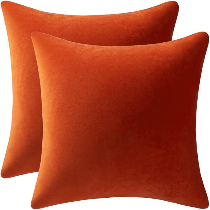 26x26 Fall Euro Pillow Covers : 2 Pack Cozy Soft Velvet Oversized Couch Pillow Shams, Square Throw Pillow Cases for Living Room Sofa, Burnt Orange