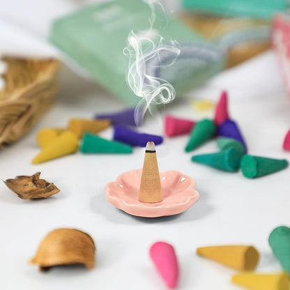 STRN Incense Cones Assorted Scented with Holder, 120 Cones Total Incense Variety Pack Gift Set, Rose, Sage, Lavender, Violet, Cinnamon, Eucalyptus, Sandalwood, Rain Forest