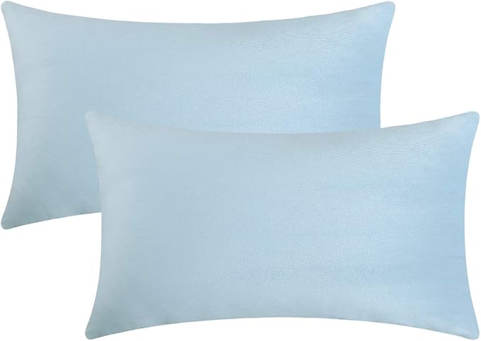 Jeneoo Set of 2 Comfy Soft Velvet Lumbar Throw Pillow Covers for Sofa Couch, Decorative Solid Rectangle Cushion Cases for Bedroom Car (12 x 20 Inches, Baby Blue)