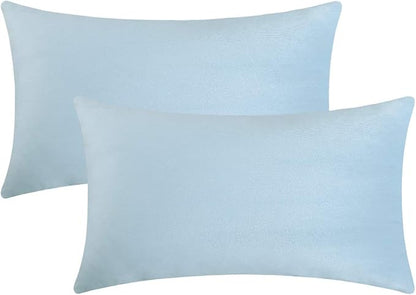 Jeneoo Set of 2 Comfy Soft Velvet Lumbar Throw Pillow Covers for Sofa Couch, Decorative Solid Rectangle Cushion Cases for Bedroom Car (12 x 20 Inches, Baby Blue)