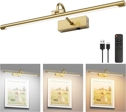 Aipsun 23.6" Brass Picture Lights for Wall Rechargeable,12000mAh Battery Operated Art Light for Paintings,3CCT Dimmable, Rotatable Gallery Light for Pictures Display