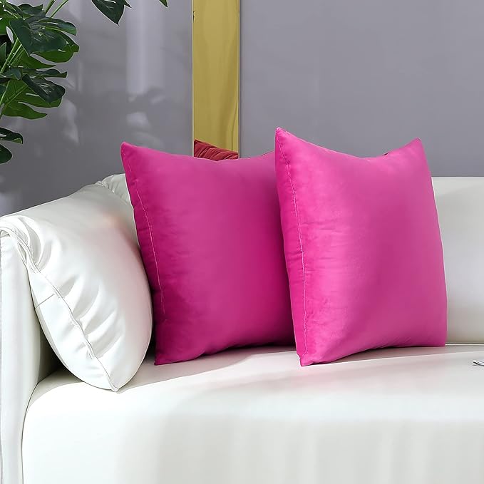 mixeoo Comfy Hot Pink Throw Pillow Covers Decorative Square Velvet Super Soft Cushion Cases Home Decor for Sofa Couch Living Room Chair, Set of 2, 16 x 16 Inch