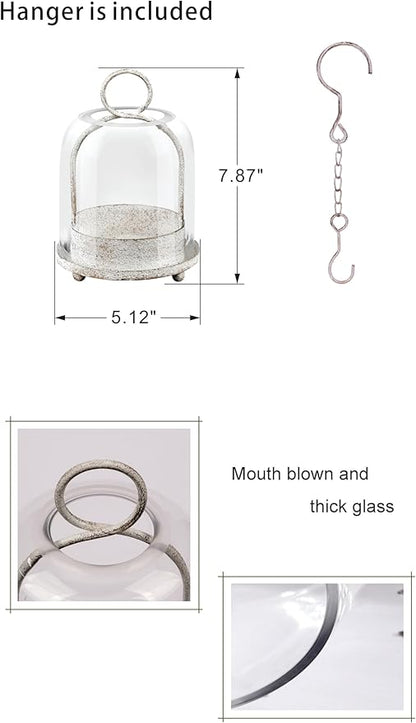 5"x7.5" Versatile Modern Metal Hurricane Lantern with Handmade Sturdy Glass Dome in Vintage White for 3" Pillar Candle & Plants, Industrial, Farmhouse, Shabby Chic