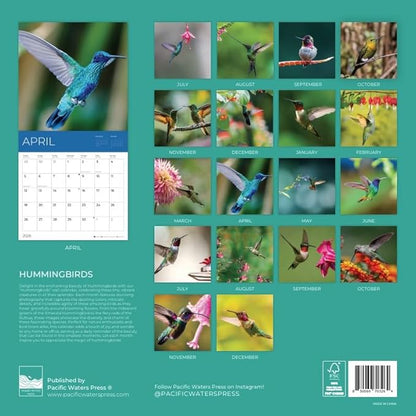 Hummingbirds Wall Calendar 2026 | 12" x 24" Open | Giftable Nature Calendar 2026 | Thick & Sturdy Paper for Organizing & Planning | Pacific Waters Press (Hummingbirds)