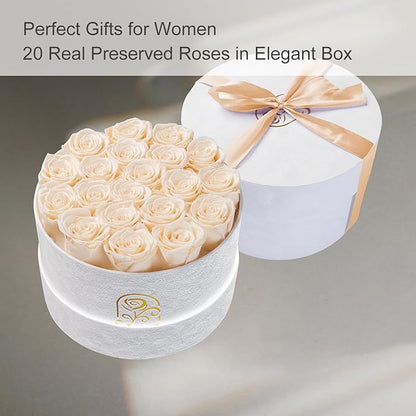 Gifts for Women Preserved Roses Flower Box, Luxury Velvet Box with 20 Roses, Preserved Flowers, Romantic Gift for Her, Wife, Girlfriend, Birthday Anniversary Christmas (Buttermilk)