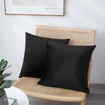 NiNi ALL Decorative Throw Pillow Covers Pack of 2, Velvet Throw Pillow Cases for Couch Pillows Cover Bedroom Living Room Outdoor, Pillow Covers 14x14 Inch Black