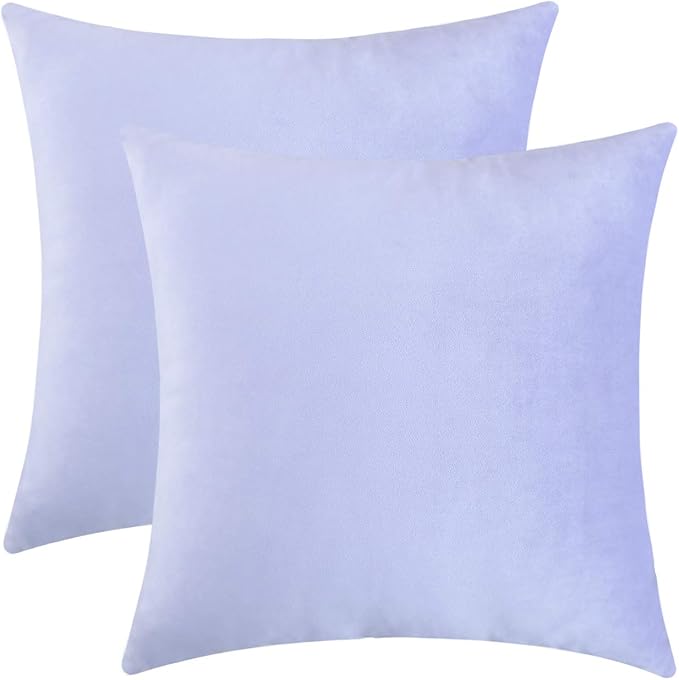Jeneoo Set of 2 Comfy Soft Velvet Throw Pillow Covers Decorative Solid Square Cushion Cases for Bedroom Sofa Car Decor (20 x 20 Inches, Lavender Blue)