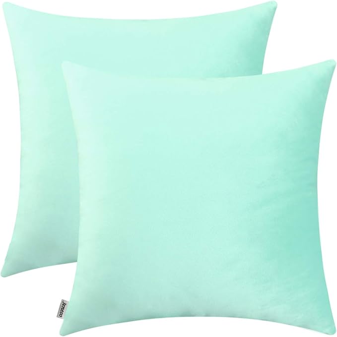 Jeneoo Comfy Soft Thick Velvet Throw Pillow Covers Decorative Solid Square Couch Cushion Cases for Bedroom Sofa Car Decor (Mint Green, 18 x 18 Inches, 2 Pieces)